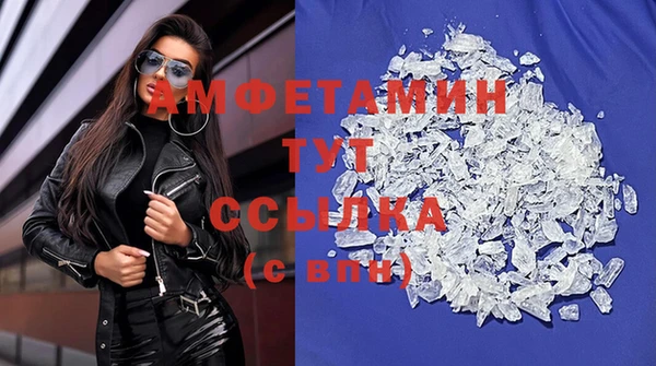 крисы Тында