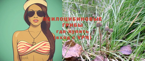 spice Дмитров