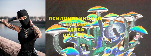 тгк Вязьма