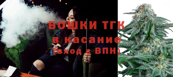 стаф Дмитриев