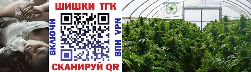 купить  цена  mega ТОР  МАРИХУАНА SATIVA & INDICA  Дмитровск 